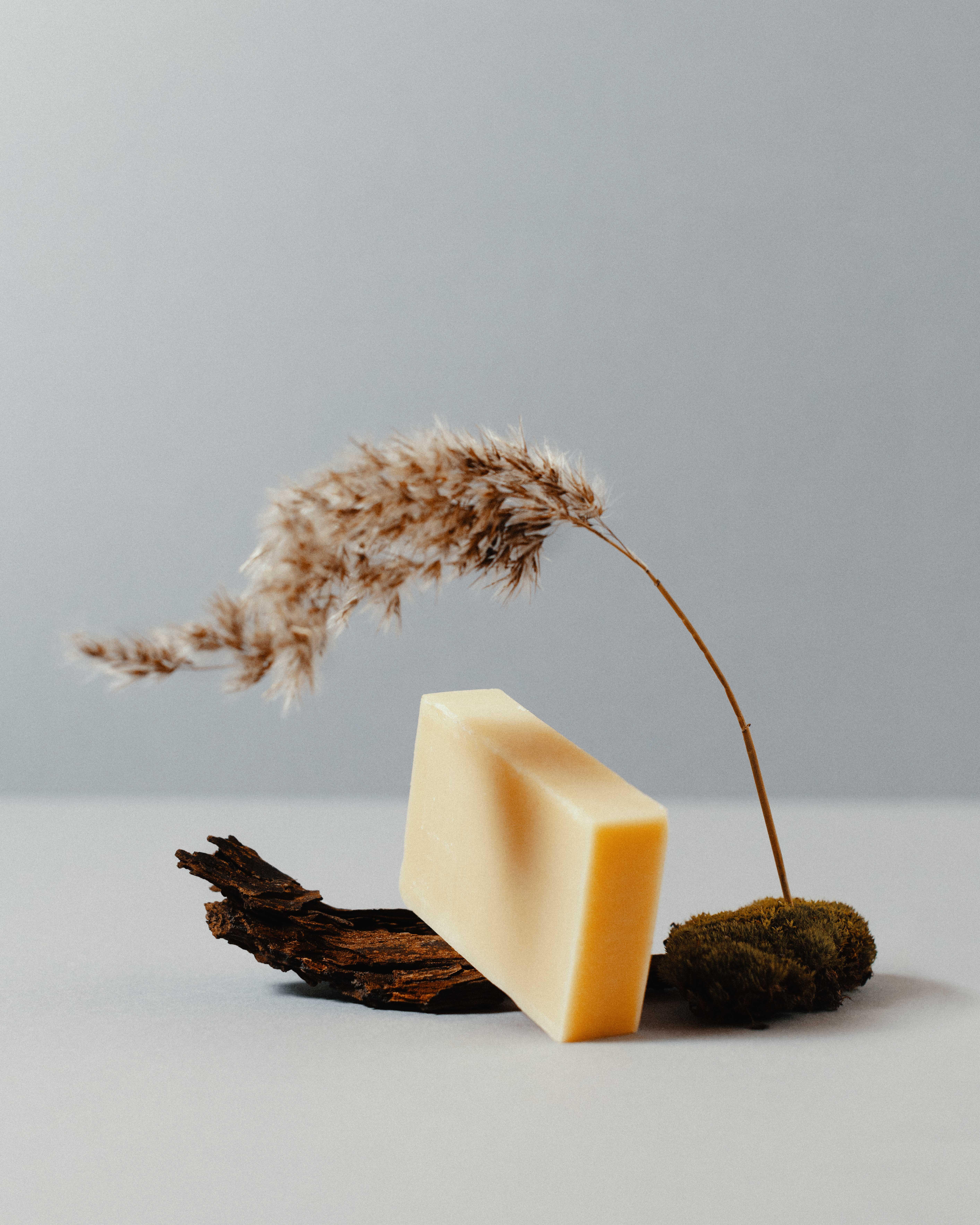 photo of a soap on a piece of wood with a piece of a plant bending over the soap.